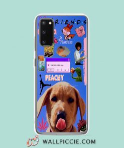 Cool Friends Peachy Collage Samsung Galaxy S20 Case